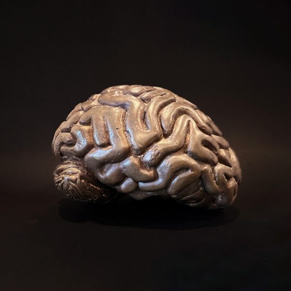 bronze brain